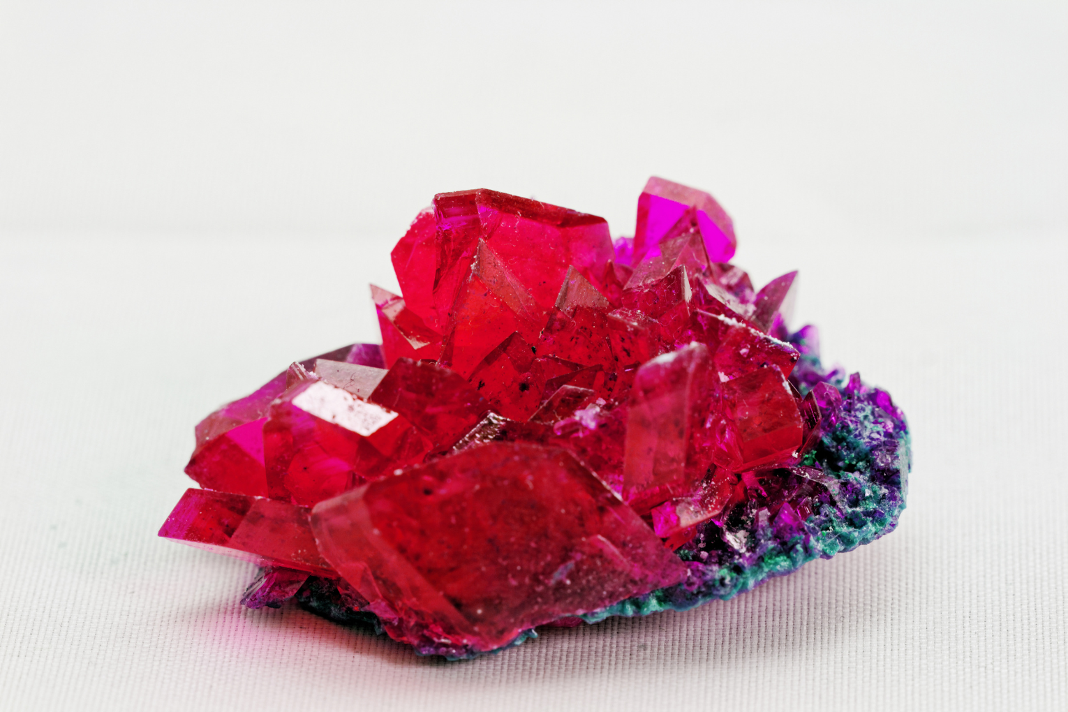 The Color You Need Right Now | ÉLARAMUSE
